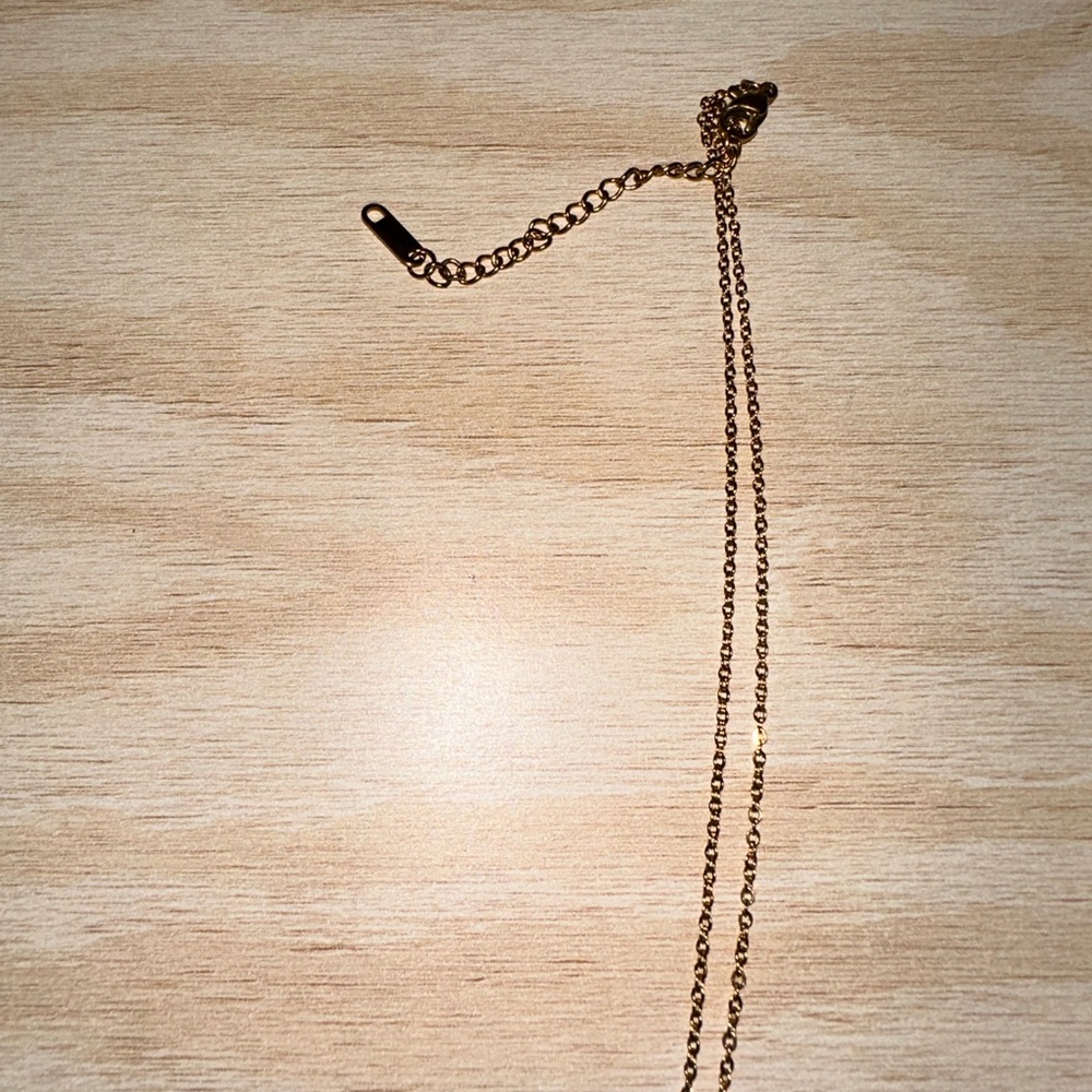 Gold Plated Cancer Zodiac Reversible Necklace - Picture 6 of 9